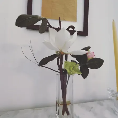 Ancien Palace 4couchages Vue アパート