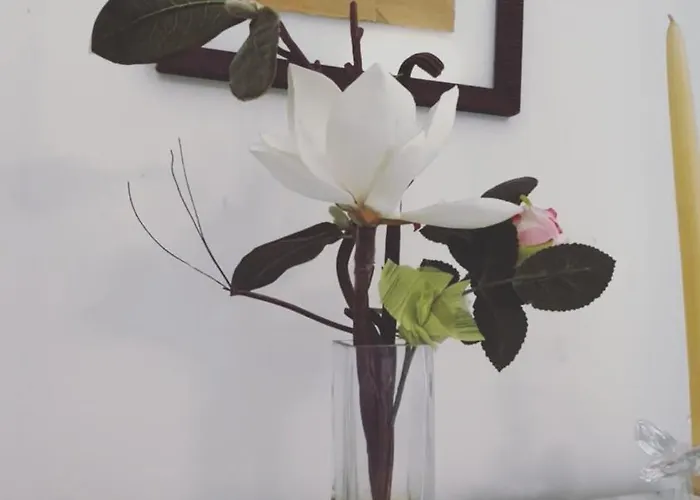 Ancien Palace 4couchages Vue Апартаменти